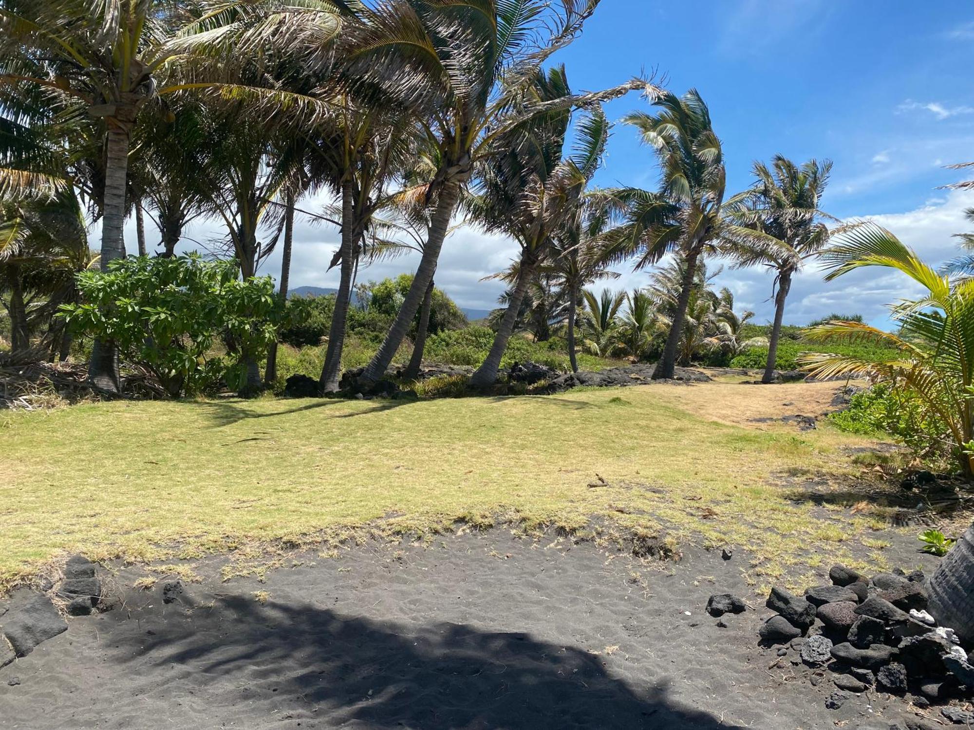 Artsy Cabin On Organic Farm Naalehu Exterior photo